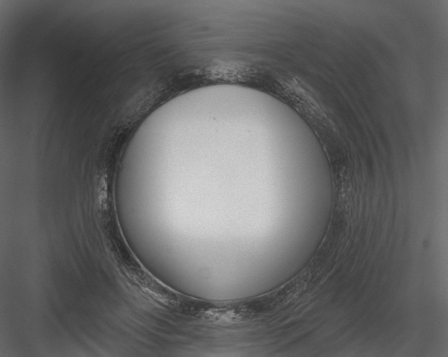 X0000083530502200702240022