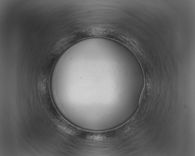 X0000083530503200702240022