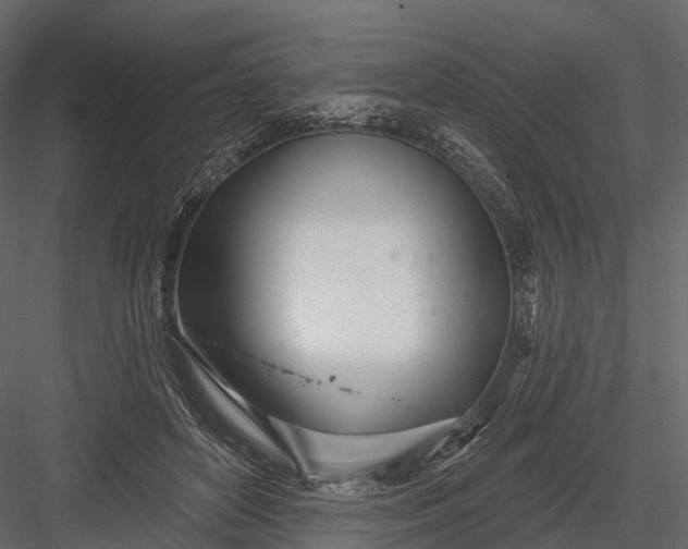 X0000083530504200702240022