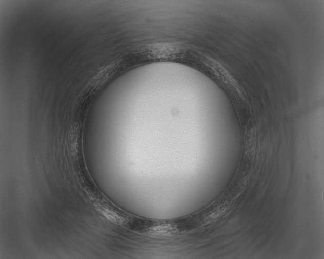 X0000083530505200702240022