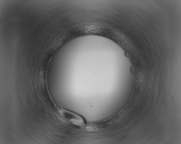 X0000083530506200702240022