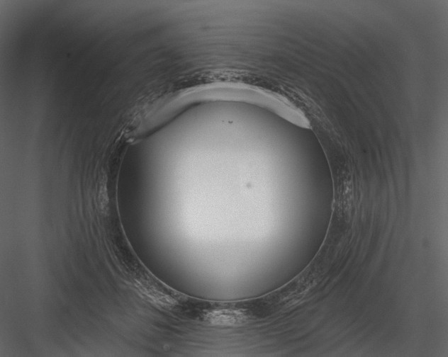 X0000083530508200702240022