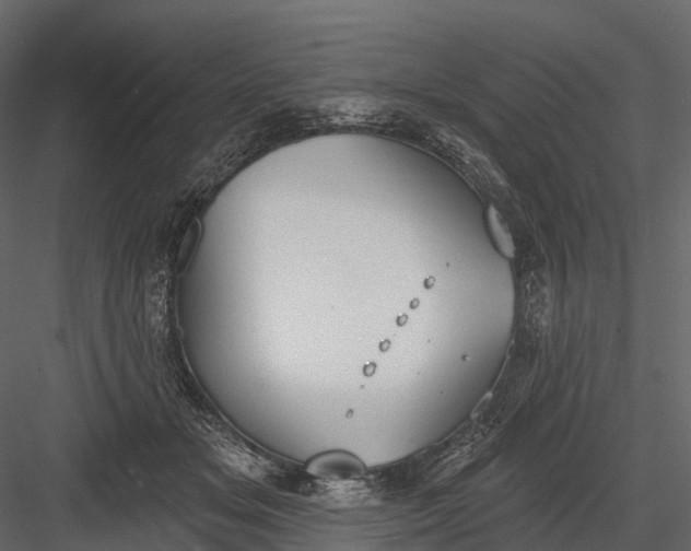 X0000083530509200702240022