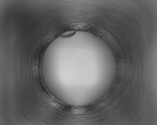 X0000083530510200702240022