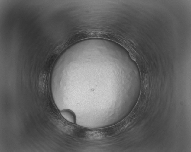 X0000083530511200702240022