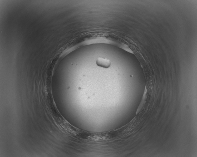 X0000083530512200702240022