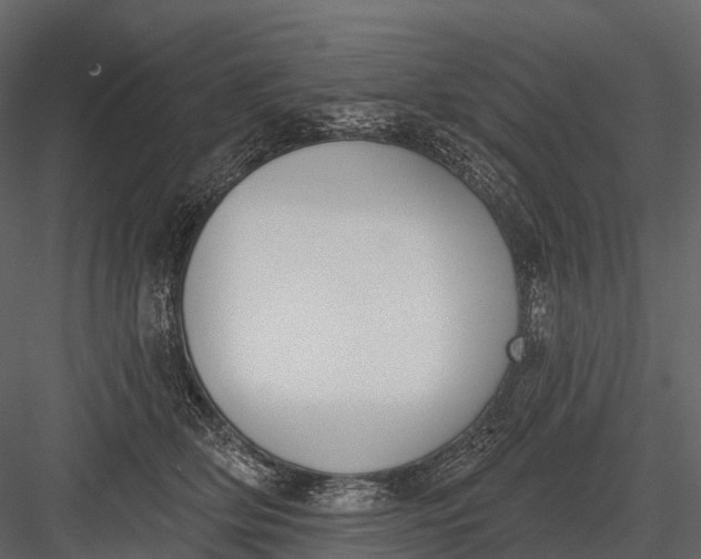 X0000083530514200702240022