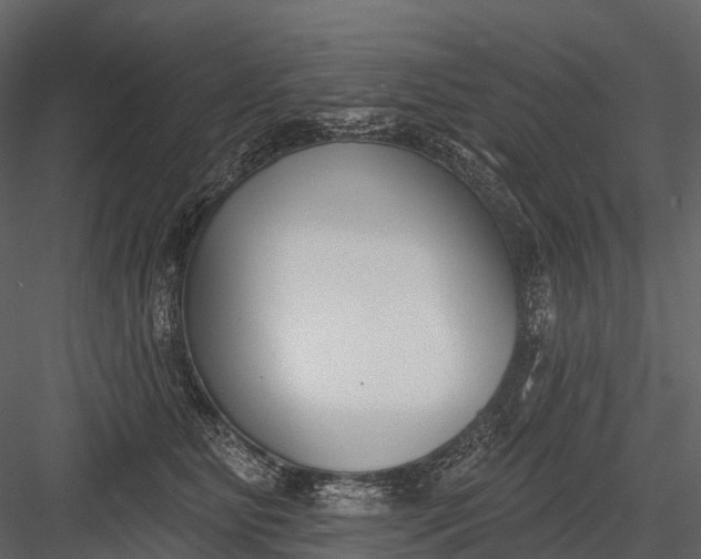 X0000083530515200702240021