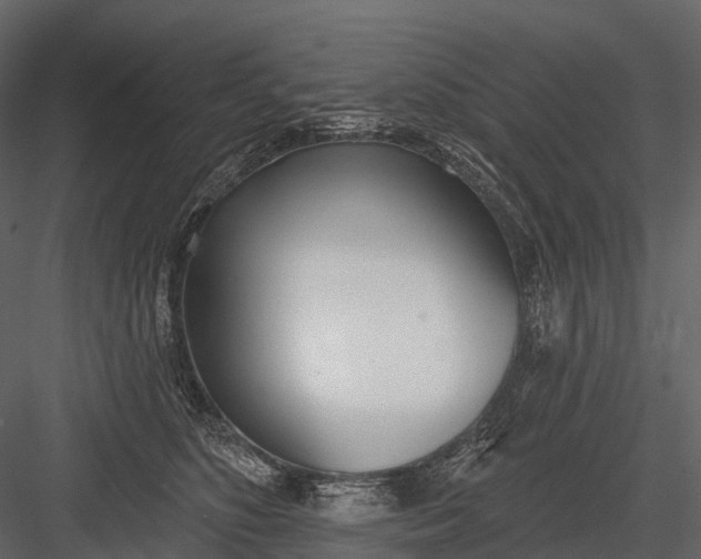 X0000083530516200702240021