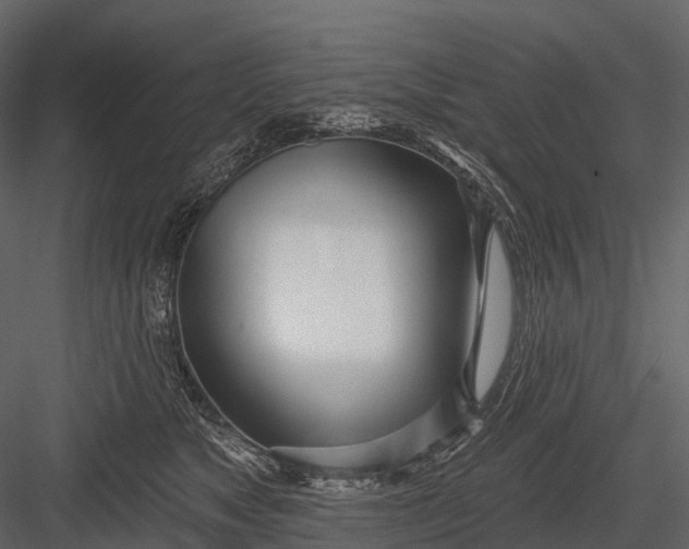 X0000083530517200702240021