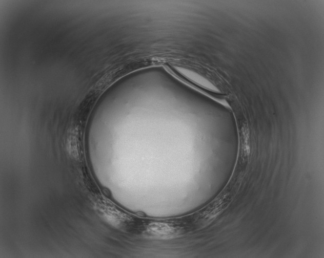 X0000083530519200702240021