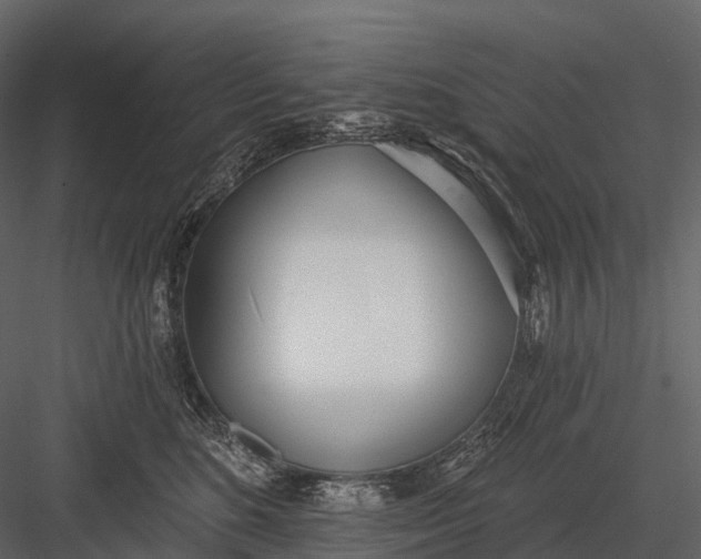 X0000083530520200702240021