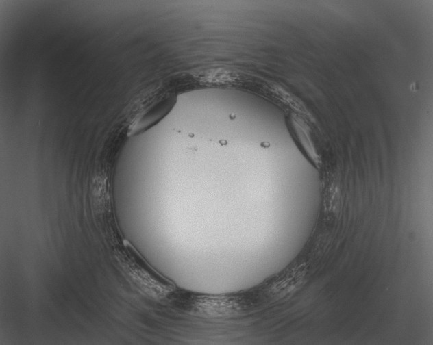 X0000083530521200702240021