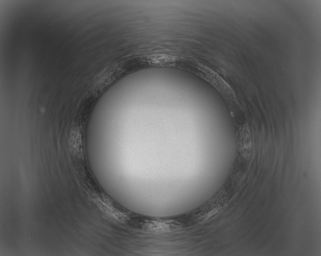 X0000083530523200702240021