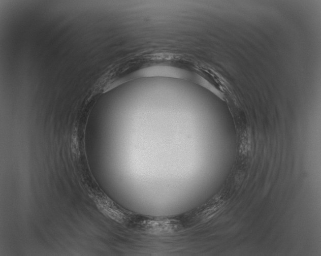 X0000083530524200702240021