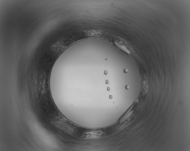 X0000083530525200702240021