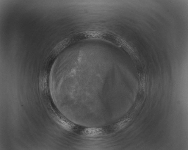 X0000083530526200702240021