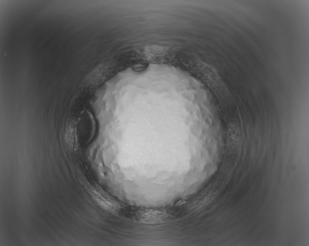 X0000083530527200702240021