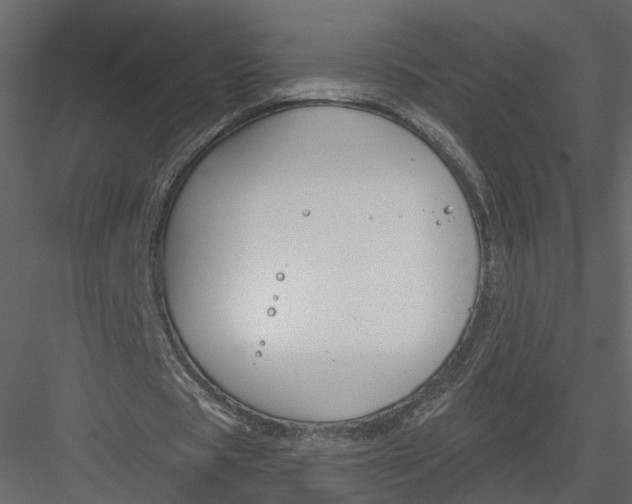 X0000083530529200702240020