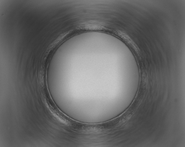 X0000083530533200702240020