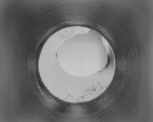 X0000083530534200702240021