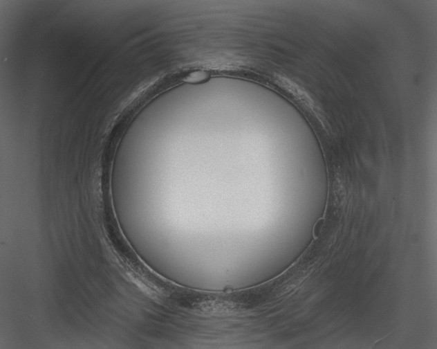 X0000083530535200702240021