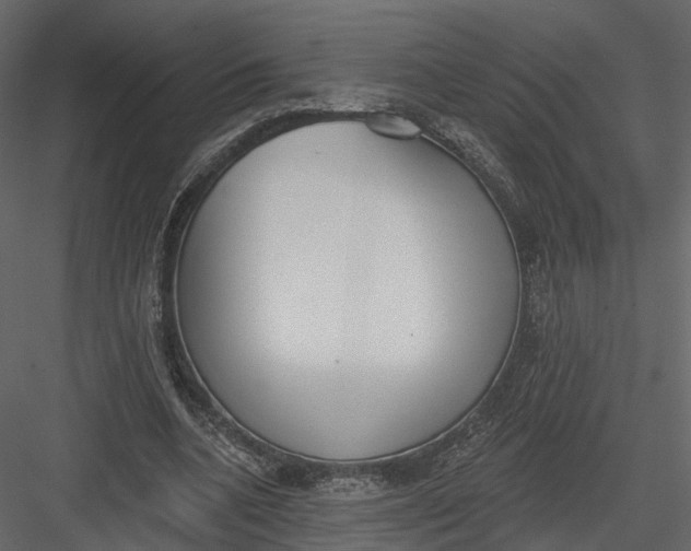 X0000083530536200702240021