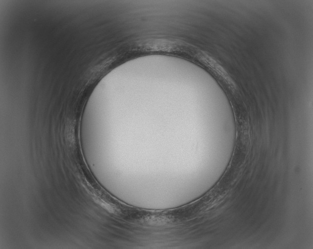 X0000083530537200702240021