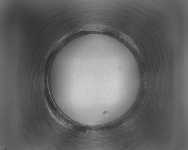 X0000083530538200702240021