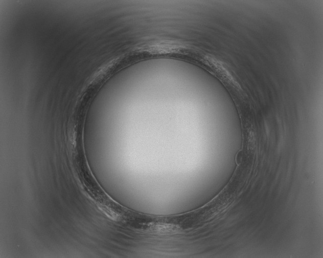 X0000083530539200702240021