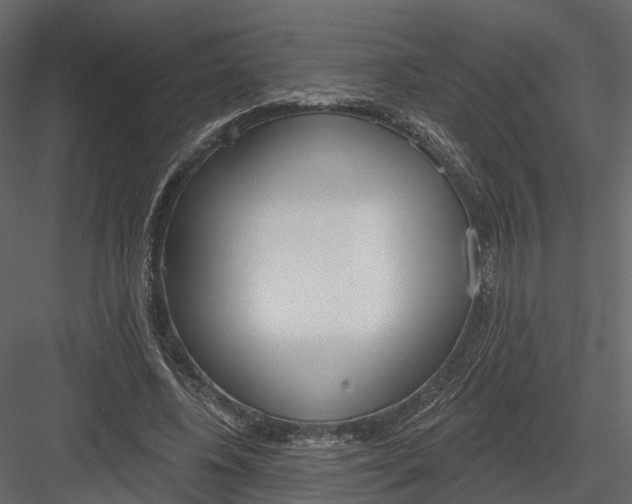 X0000083530540200702240021