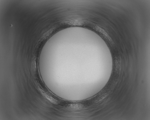 X0000083530541200702240021