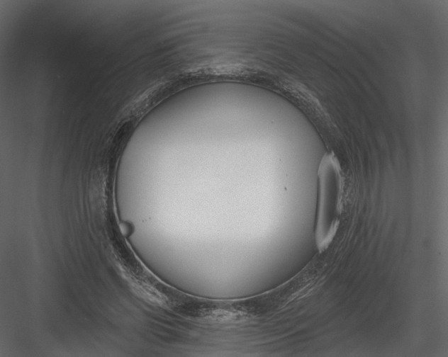 X0000083530542200702240021