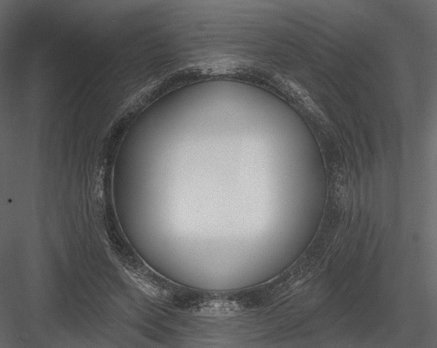 X0000083530543200702240021