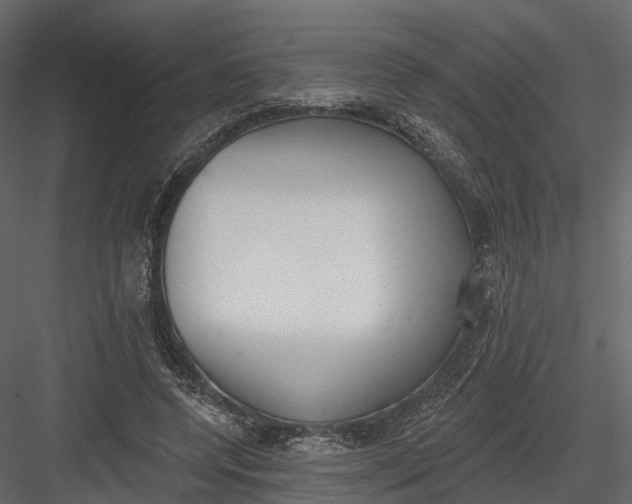 X0000083530544200702240021