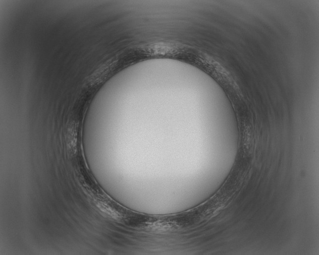 X0000083530545200702240021