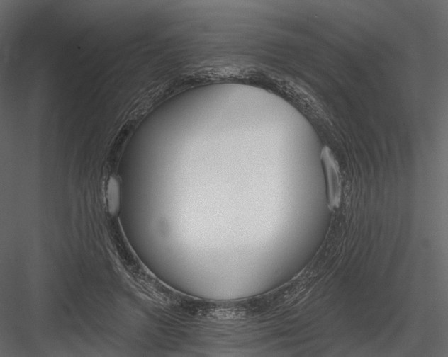 X0000083530546200702240021