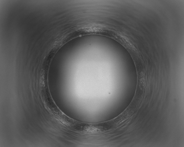 X0000083530547200702240021