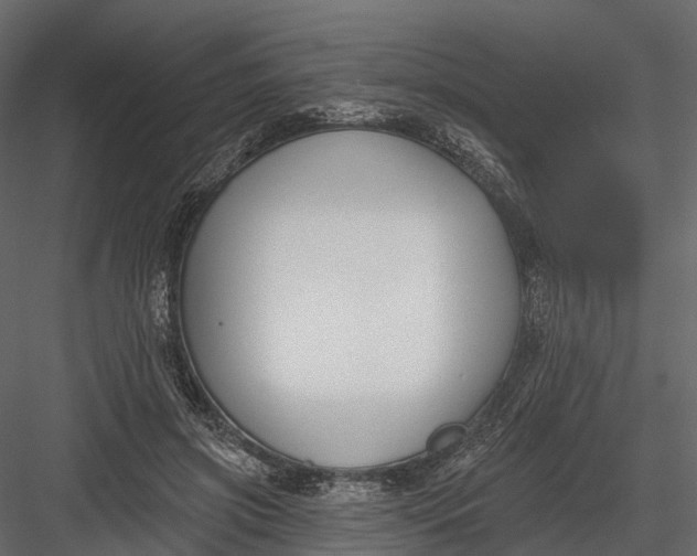 X0000083530549200702240021