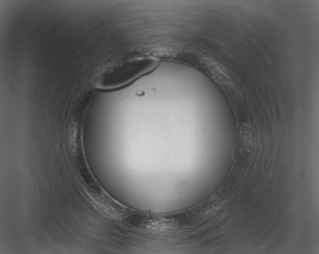 X0000083530550200702240021