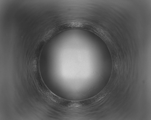 X0000083530551200702240021