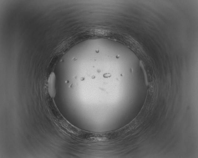 X0000083530552200702240021