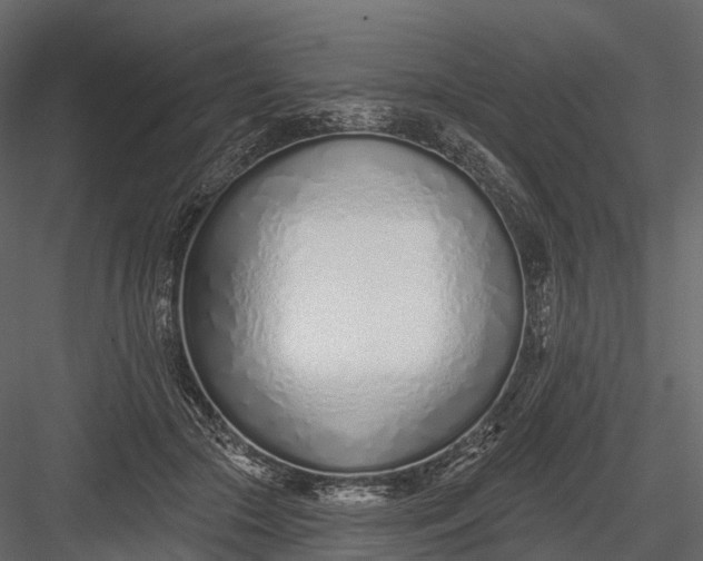 X0000083530553200702240021