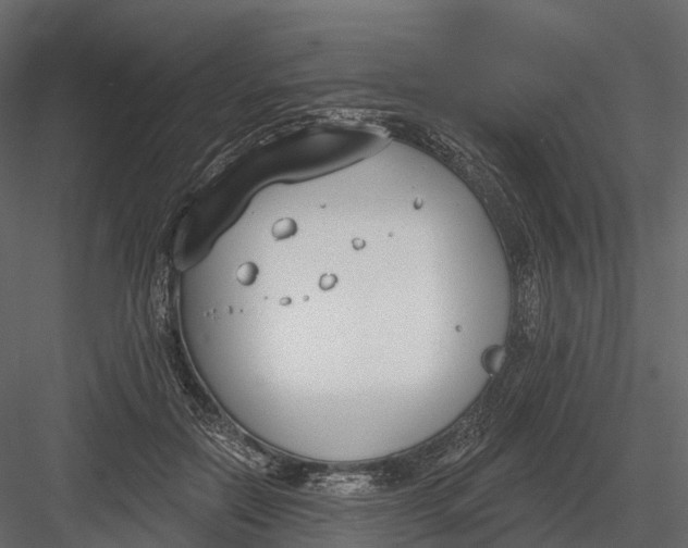 X0000083530554200702240021