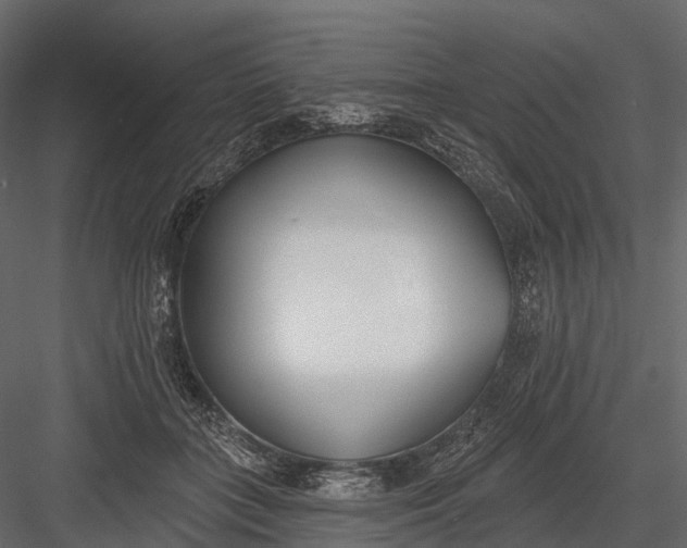 X0000083530555200702240021