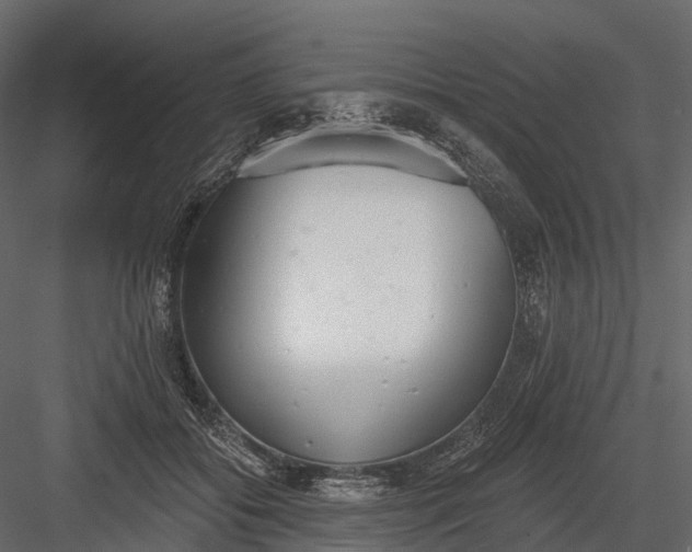 X0000083530556200702240021