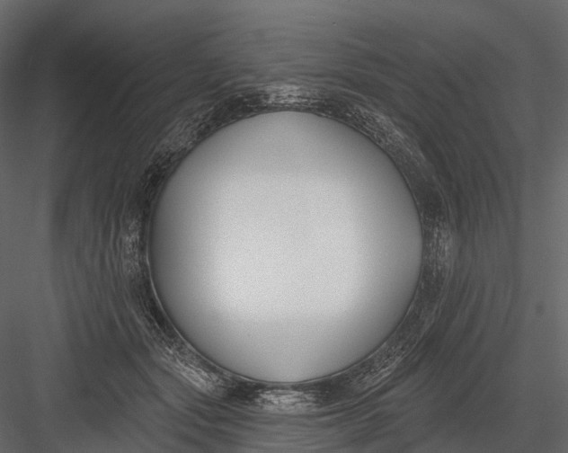 X0000083530557200702240021