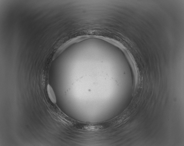 X0000083530558200702240021