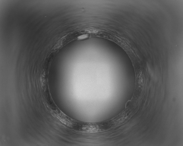 X0000083530559200702240021