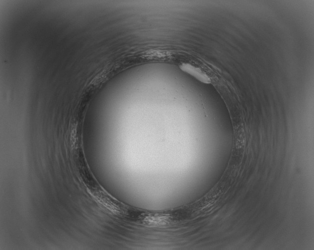 X0000083530560200702240021